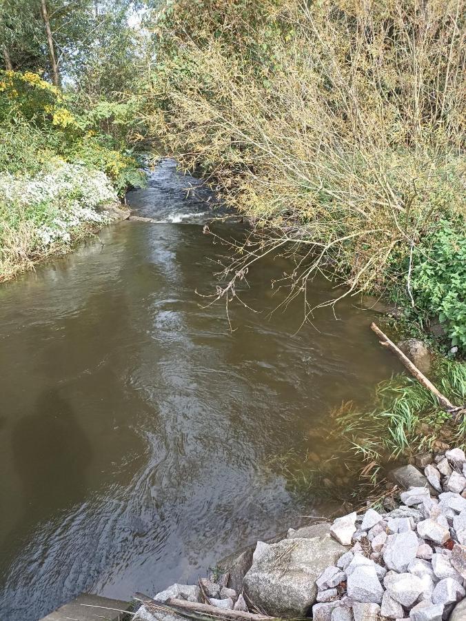 ריינהאוזן Ebs Paradies מראה חיצוני תמונה